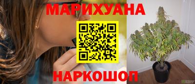 спиды Ливны